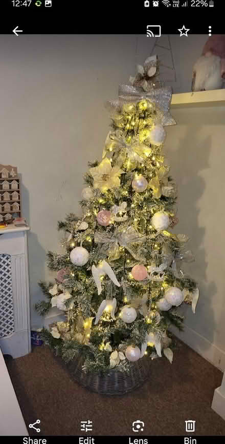 Photo of free Snowy Christmas tree (SE25) #1