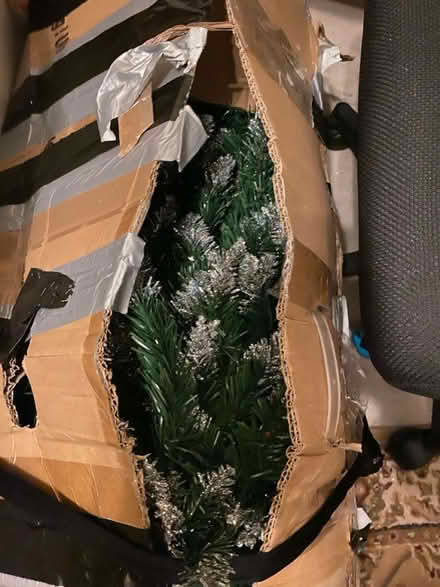 Photo of free Christmas tree (Abbey Wood) #2
