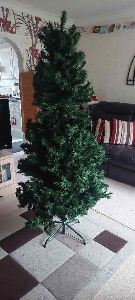 Photo of free Christmas Tree (Hawley GU17) #2