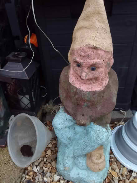 Photo of free garden gnome (mansfield woodhouse NG19) #2
