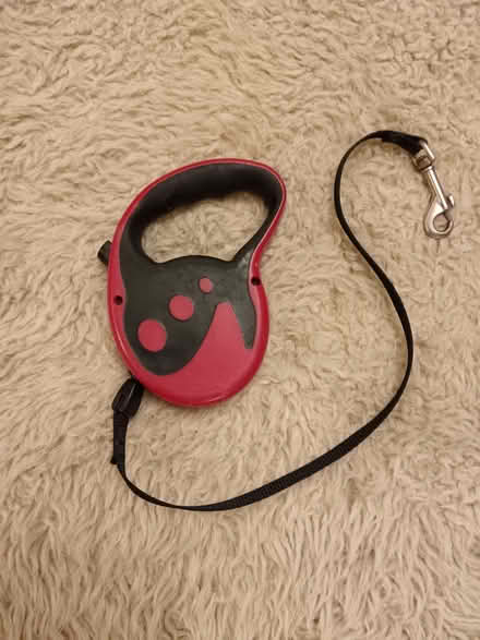 Photo of free Extendable Dog Lead (Ebley GL5) #1