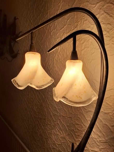 Photo of free Floral Floor Lamp (Bedlington Station, NE22) #2
