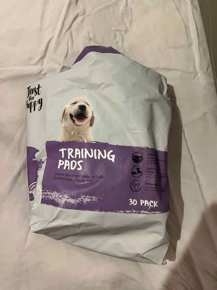 Photo of free Puppy training pads (Kendal LA9) #1