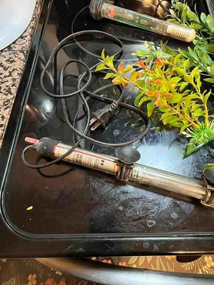 Photo of free Aquarium stuff (Upper Silver Spring) #3