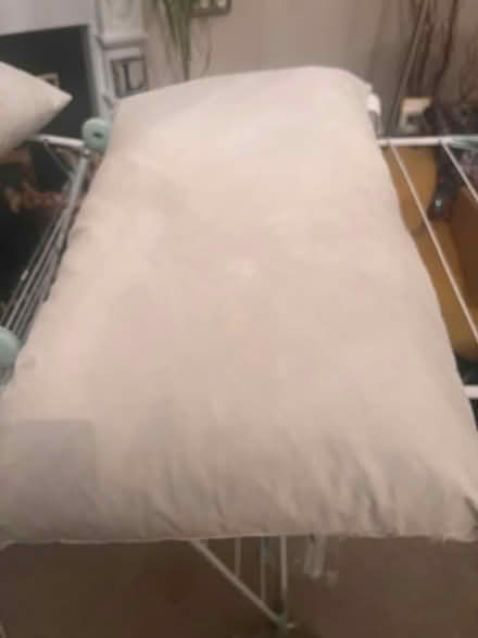 Photo of free Two Ikea Fjader feather pillows (Glasgow G20) #2