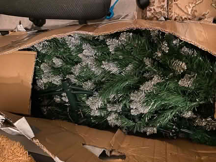 Photo of free Christmas tree (Abbey Wood) #1