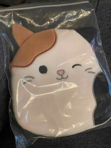 Photo of free Squishmallow kitty zipper pouch (Midtown) #1