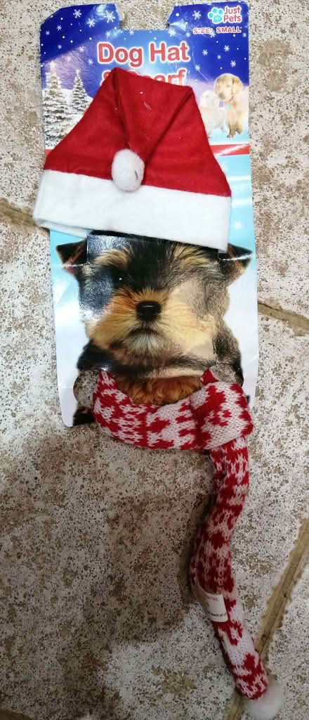 Photo of free 4 x Small Dog Novelty Christmas Outfits (Tyseley B11) #2