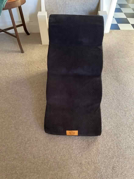 Photo of free Four-step access ramp for dogs (Aigburth, L17) #1