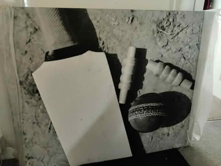 Photo of free Cricket picture (Lydney GL15) #1