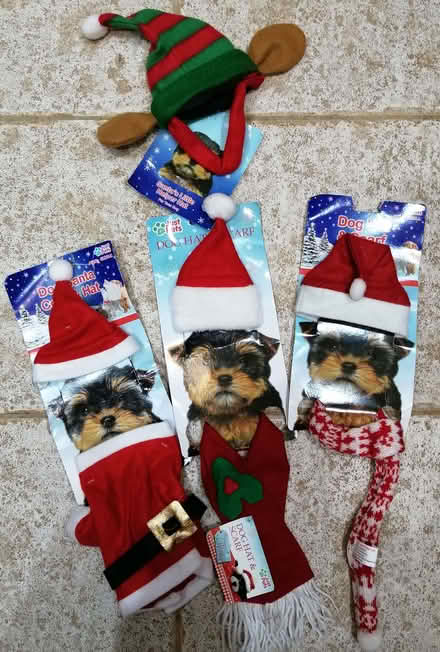 Photo of free 4 x Small Dog Novelty Christmas Outfits (Tyseley B11) #1