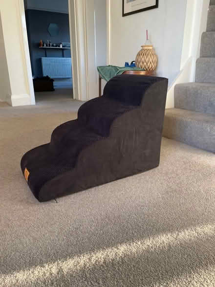 Photo of free Four-step access ramp for dogs (Aigburth, L17) #2