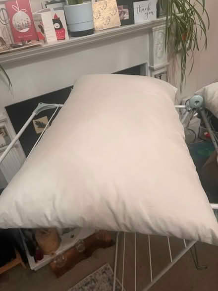 Photo of free Two Ikea Fjader feather pillows (Glasgow G20) #1