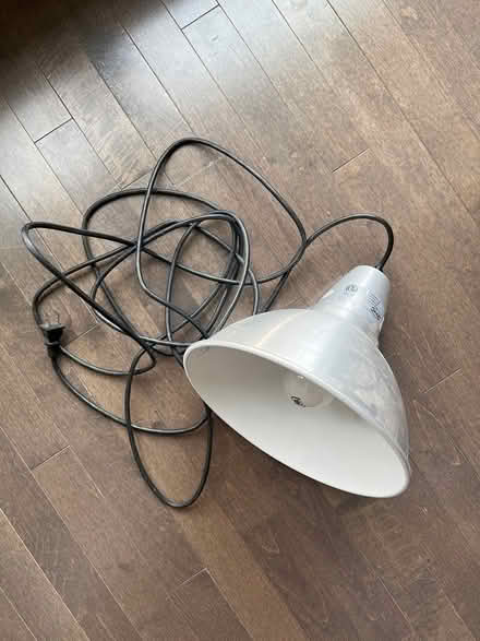 Photo of free Plug in pendant light (Marda Loop/Richmond Hill) #1