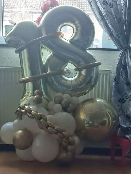 Photo of free 18 balloon (Bulwell NG6) #1