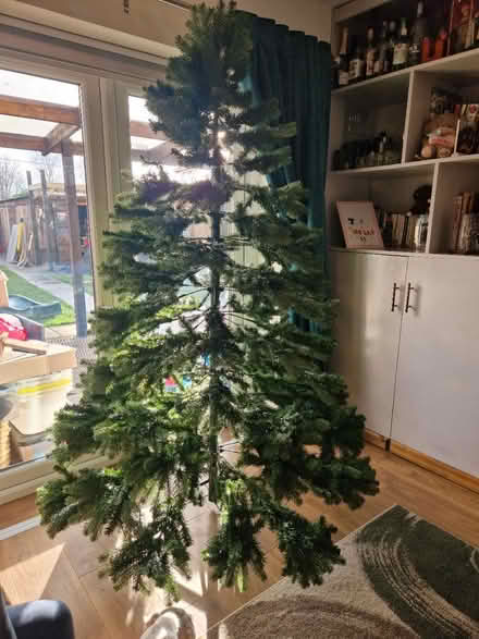 Photo of free 7ft Christmas tree (Stevenage, SG1) #3