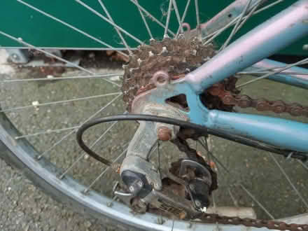 Photo of free Ladies bike (NW10) #3