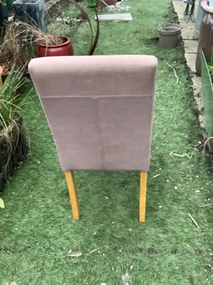 Photo of free Two dining chairs (Thornton heath) #1