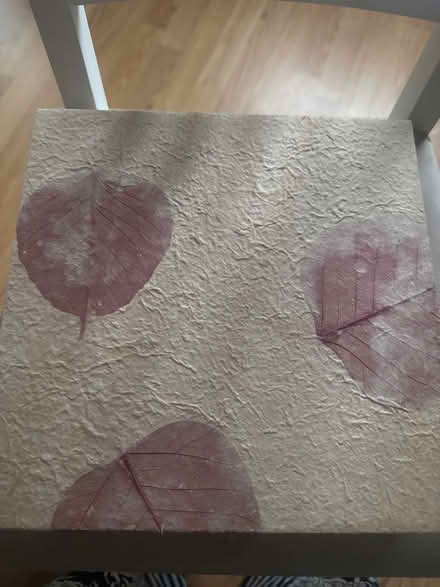 Photo of free Photo Album (East dulwich SE22) #4