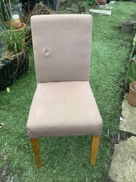 Photo of free Two dining chairs (Thornton heath) #2