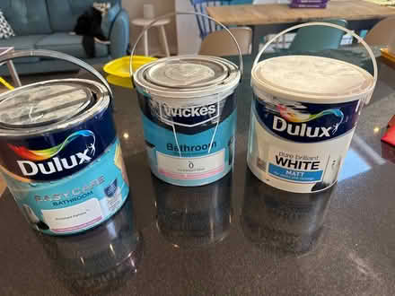 Photo of free Paints - remaining from job (AL3) #1