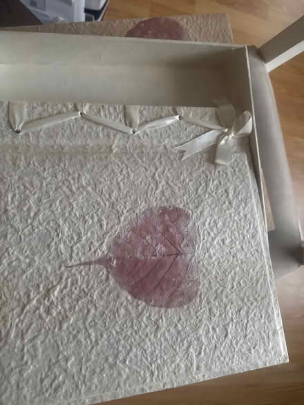 Photo of free Photo Album (East dulwich SE22) #2