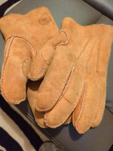 Photo of free Mens gloves (Rushall WS4) #1