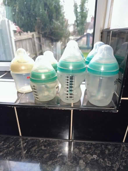 Photo of free Tommee Tippee Bottles (Bushbury WV10) #1