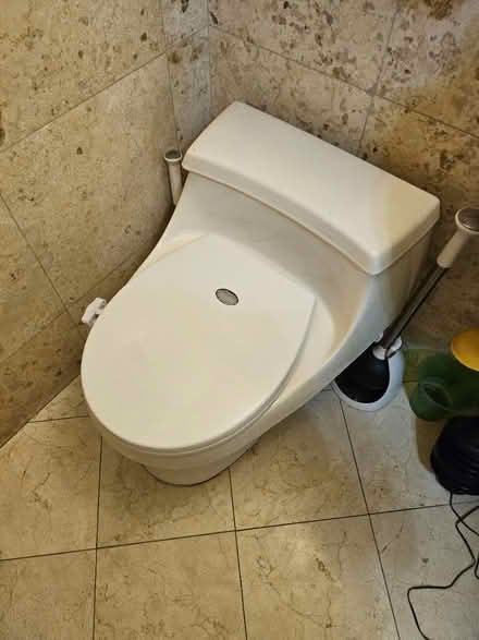 Photo of free working toilet (Dunning, Chicago) #3