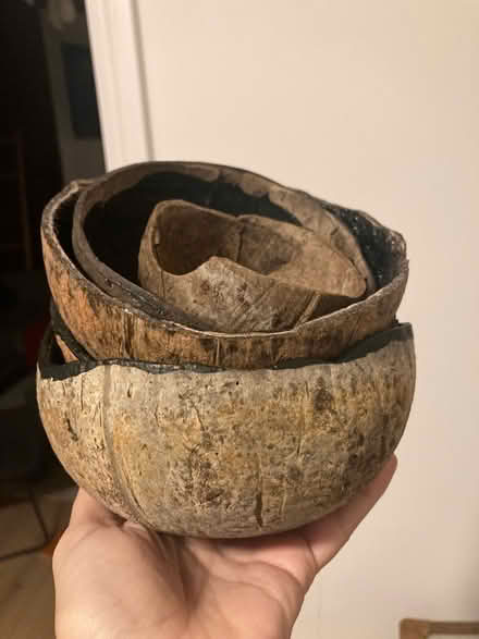 Photo of free Several real coconut shells (SE15) #1