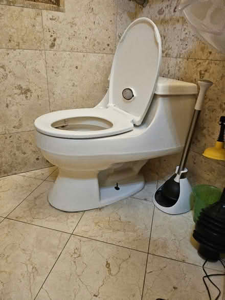 Photo of free working toilet (Dunning, Chicago) #1