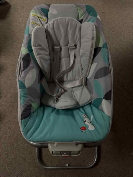 Photo of free Tiny Love: Portable Bouncer Seat (Fair lawn) #2