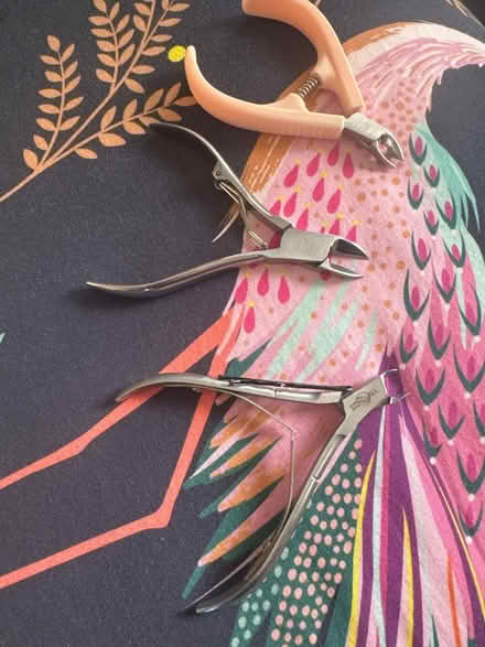Photo of free 3x nail clippers (East dulwich SE22) #1
