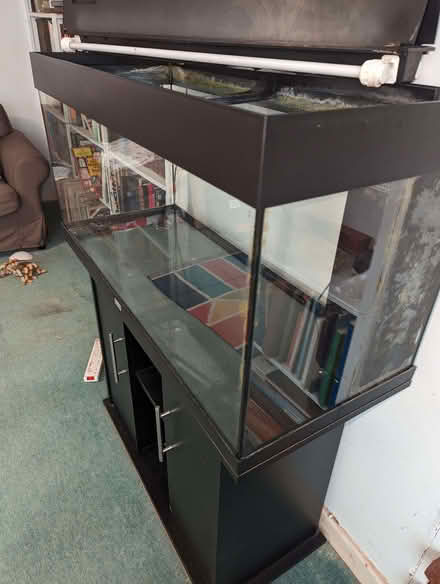 Photo of free Large fish tank and stand (Dyke Road area BN1) #2
