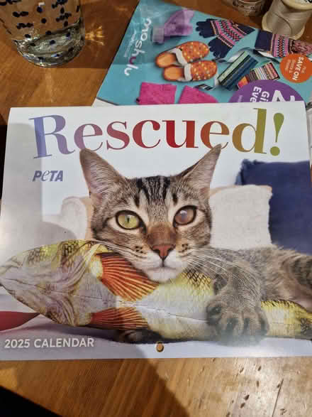 Photo of free PETA 2025 calendar (Fromefield BA11) #2