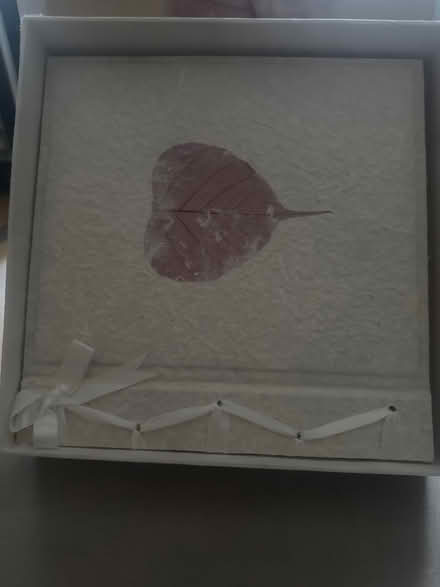 Photo of free Photo Album (East dulwich SE22) #1