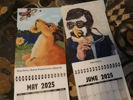 Photo of free TWO 2025 Heidi Hooper calendars (Cambridgeport, near Dana Park) #4