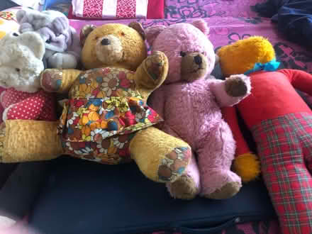 Photo of free Teddy Bears (Dallington) #1