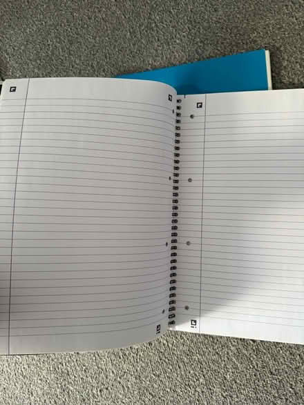 Photo of free two a4 notebooks and revision cards (Ilford IG6) #4