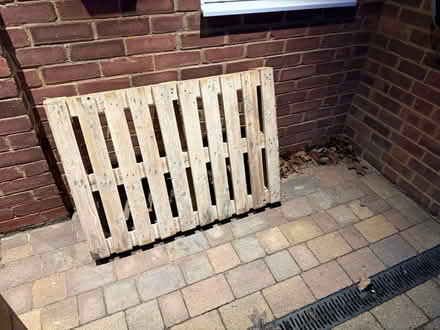 Photo of free Pallet (AL3) #1