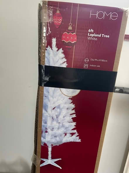 Photo of free White tree (Epsom KT19) #1