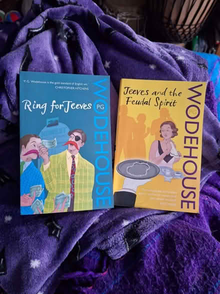 Photo of free Two Jeeves and Wooster books. PG Wodehouse. (Canford Heath BH17) #1