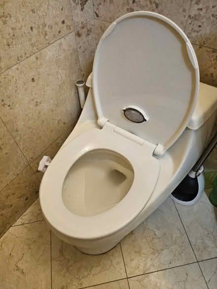 Photo of free working toilet (Dunning, Chicago) #2
