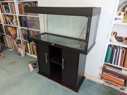 Photo of free Large fish tank and stand (Dyke Road area BN1) #1