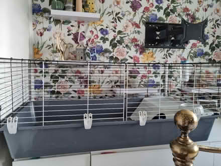 Photo of free Large guinea pig cage (Shirley, Croydon) #1