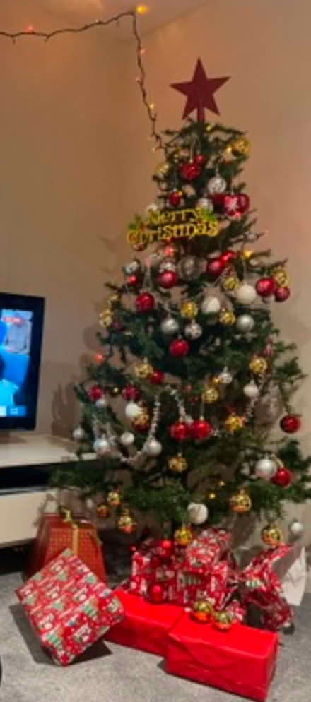 Photo of free Christmas tree (East Molesey) #1