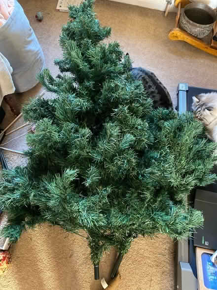 Photo of free 6ft Xmas tree (Barking IG11) #1