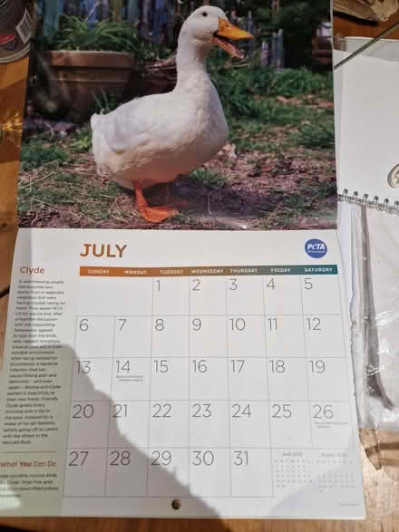 Photo of free PETA 2025 calendar (Fromefield BA11) #1