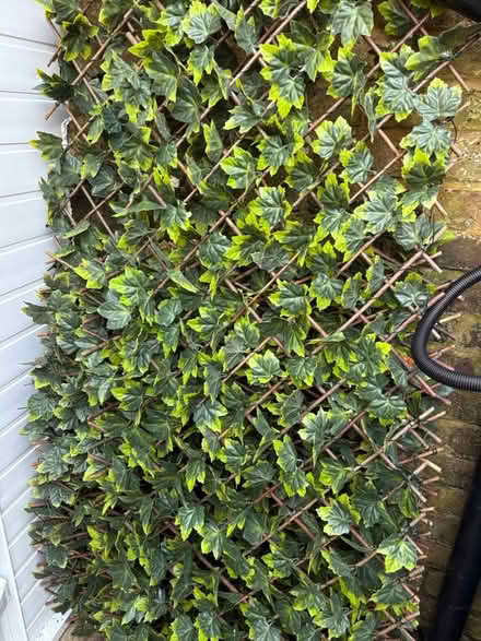 Photo of free 2x Fake ivy covered trellis (SW15) #1