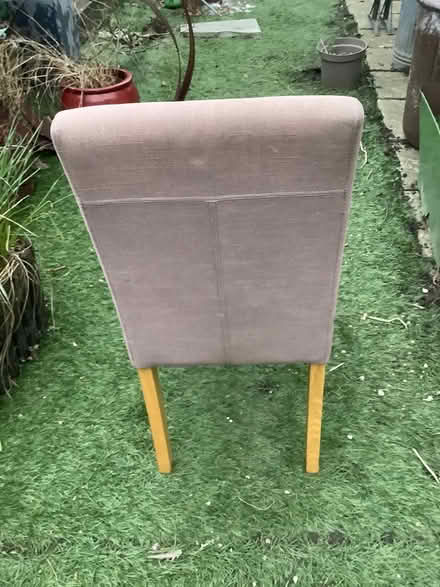 Photo of free Two dining chairs (Thornton heath) #3